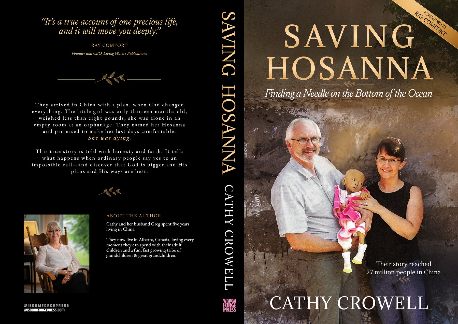 Saving Hosanna, full paperback wrap